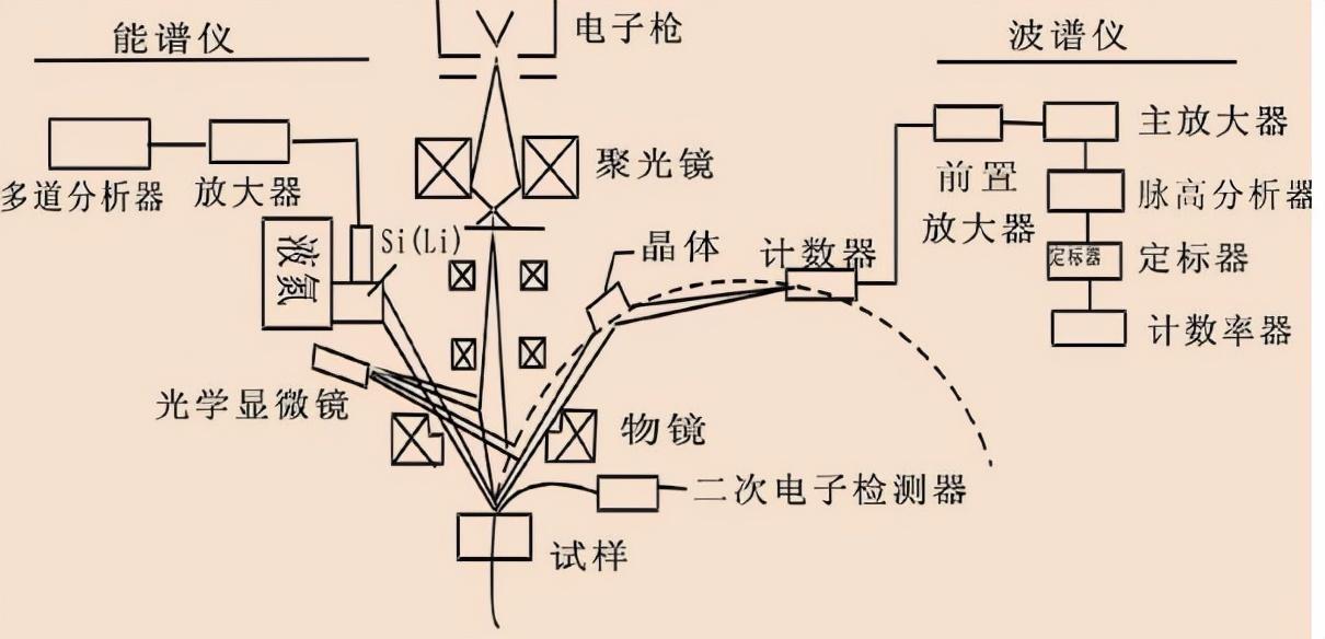 7分钟揭秘！普通牌最新扫描分析仪,推荐8个购买渠道