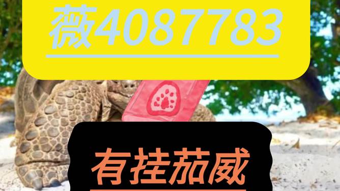 教程辅助“广西八一字牌开挂输赢开挂规律”-太坑了原来有挂