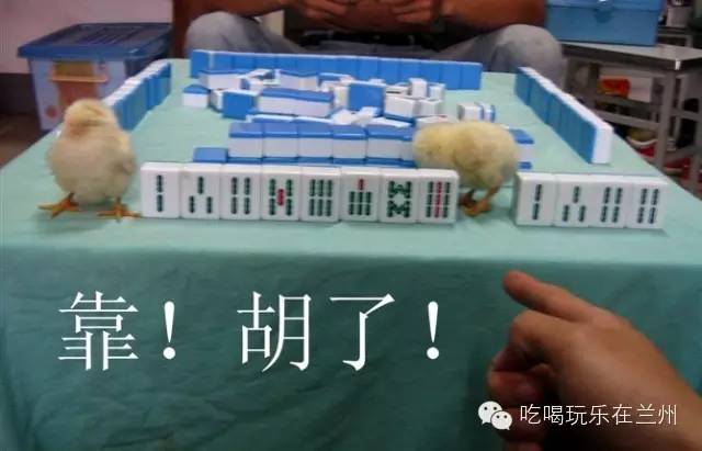教程辅助“疯狂赢三张炸金花外卦多少钱”(确实是有挂)-哔哩哔哩
