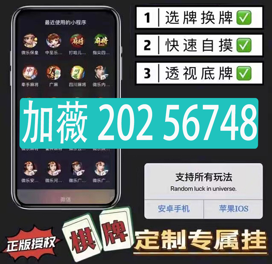 教程辅助“WePoker开挂专用工具-哔哩哔哩 