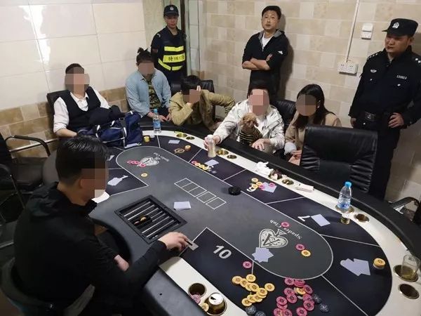 黑料！苏州扑克牌分析器,推荐8个购买渠道