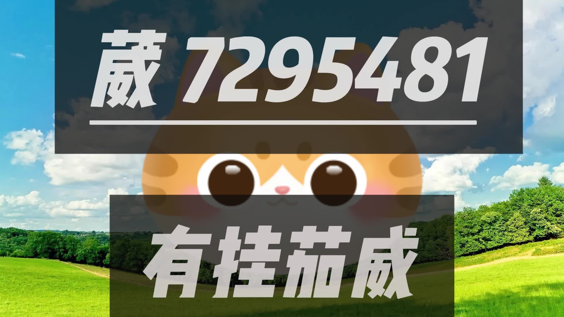 玩家必备攻略“陕麻圈辅助透视软件”(原来真的有挂)-知乎 