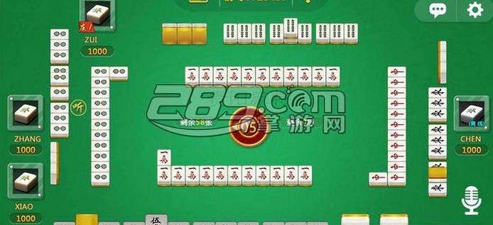 安装程序教程！手机贵阳麻将软件出售(其实确实有挂)