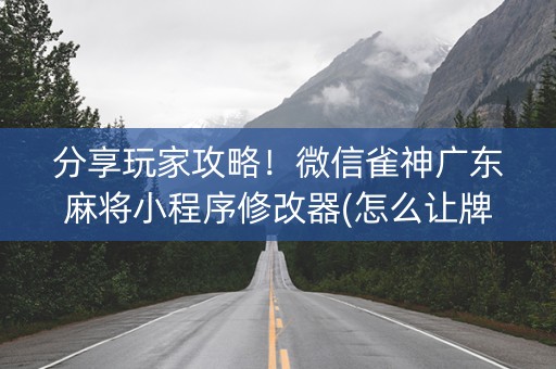必备攻略！微信小程序麻将游戏修改器(怎么增加胜率)