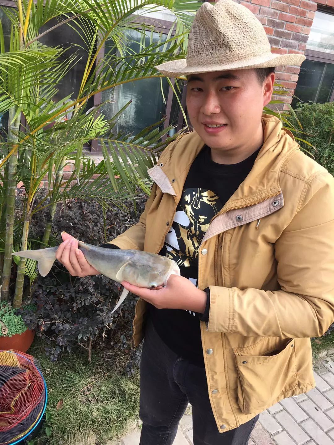 推荐一款“优优乐葫芦鱼有挂吗”(真的有挂)