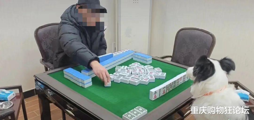 三分钟了解&quot;熊猫麻将透视挂”详细教程辅助工具