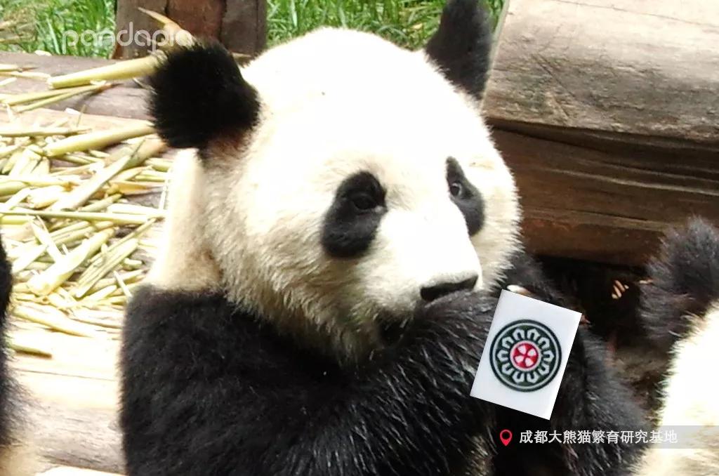 微乐开挂要身份证（微乐开挂要身份证号码吗）