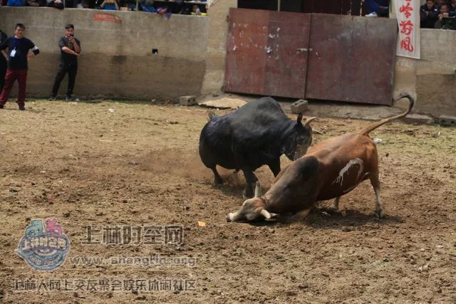 红桃娱乐开挂软件的简单介绍