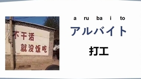 猫脖子挂字牌图片（猫脖子挂饰）