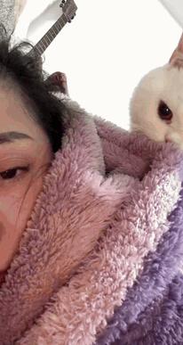 嗨喵互动辅助工具在哪买（嗨喵喵能赚钱是真的吗）