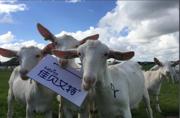 分享决窍“必看科普微信斗牛开挂神器下载安装”-太坑了原来有挂