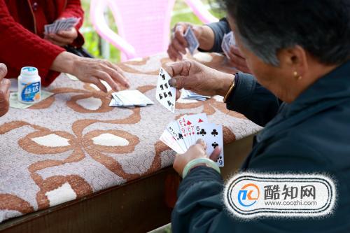 玩家必备教程普通扑克牌打金花拿大牌三招工具_《爱问知识人 使用说明》