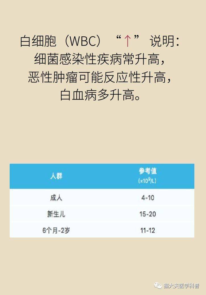 3分钟教你科普“最先进的打金花产品东西_《爱问知识人 使用说明》