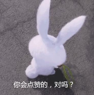 挂坠双平安扣系扣打法（双绳平安扣打结视频）