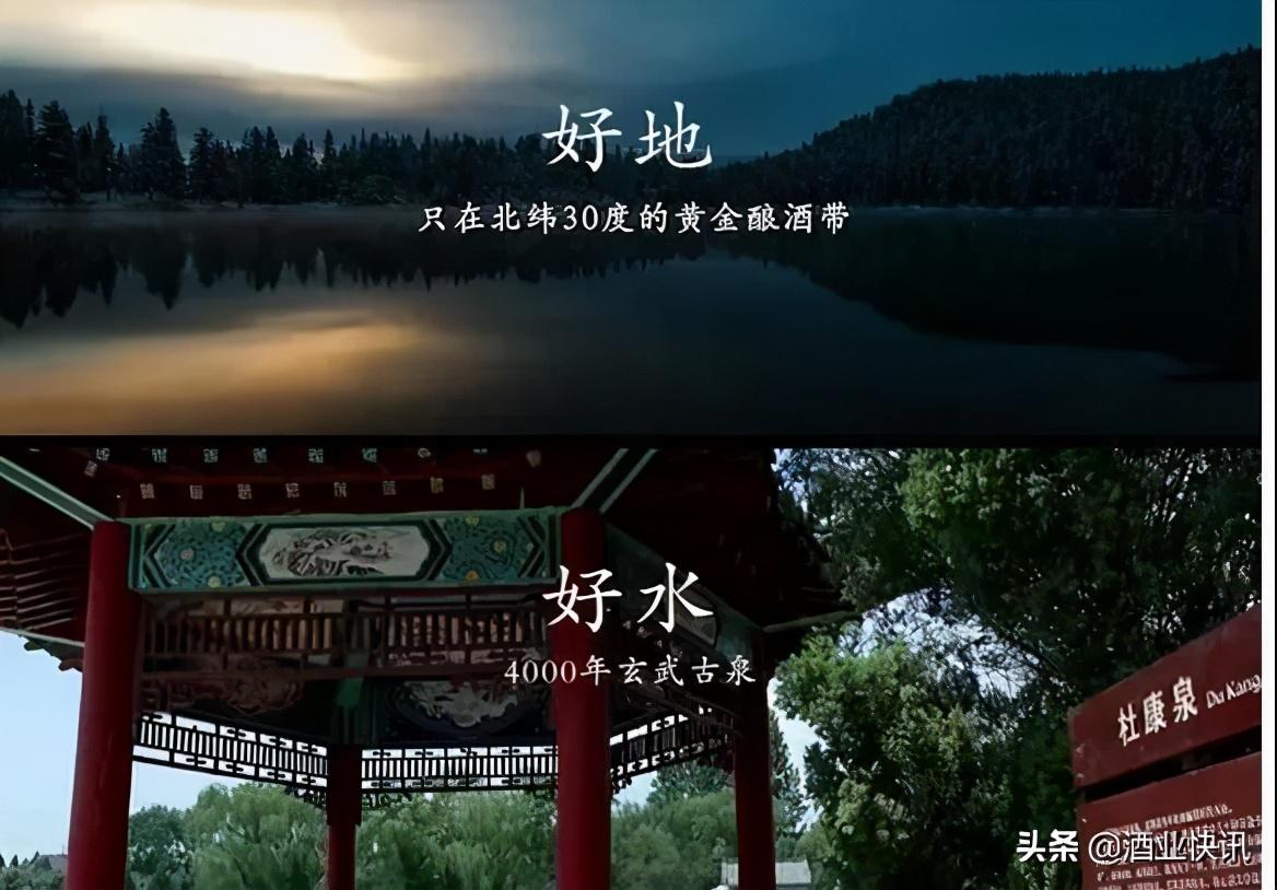 玄武房主金花挂（玄武房主金花挂什么画）