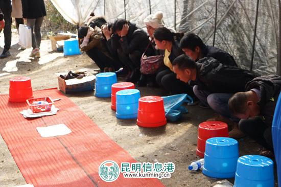 玩家必备教程怎么提前知道碗里面的色子单双“推荐7个购买渠道