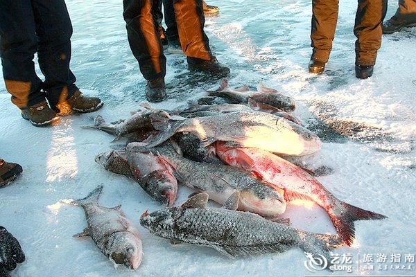 挂子网捕鱼怎么用视频（挂网捕鱼技巧视频）