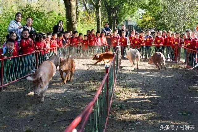 「热点资讯」宁波竞技馆十三道有挂吗”详细教程辅助工具