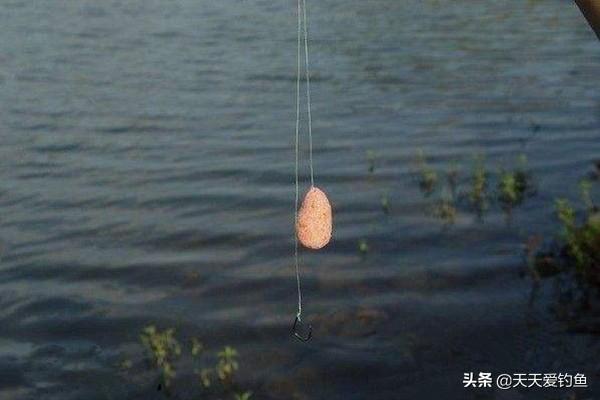 淡水鱼挂饵技巧图解（淡水鱼垂钓技巧）