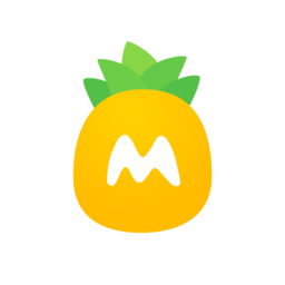 大菠萝辅助软件是什么样的（大菠萝付件app）