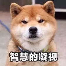 新教你‘‘斗牛开挂是不是真的!其实确实有挂的