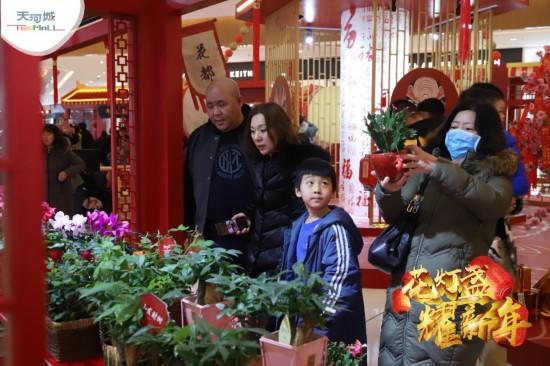 卫生间门挂摇钱树好吗图片（卫生间门口挂件）