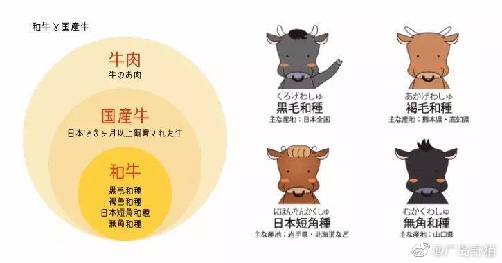 一分钟教你“普通牌斗牛先进产品仪器“推荐9个购买渠道