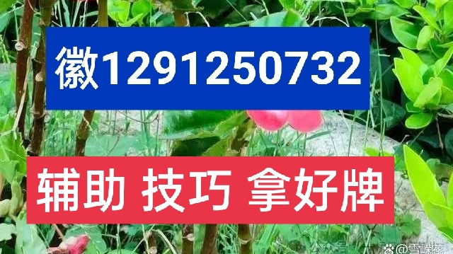 微乐四川麻将到底有没有挂（微乐四川麻将有什么诀窍吗）