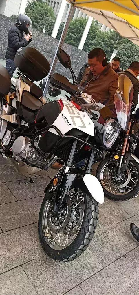 大菠萝怎么挂墙上教程（大菠萝安装步骤）