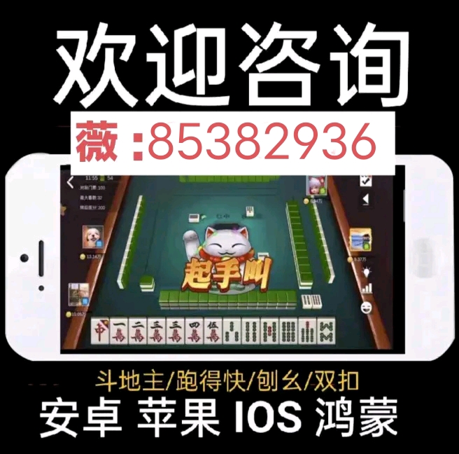 分享决窍“皮皮跑胡子开挂辅助软件”详细教程辅助工具
