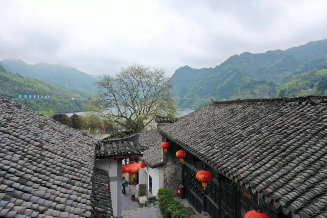 小闲金花挂（小金花怎么玩）