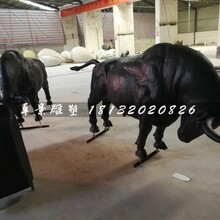 大厅斗牛有挂吗（斗牛挂一般多少钱）