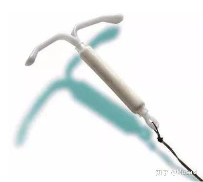 上曼月乐挂什么科（上曼月乐挂什么科?）