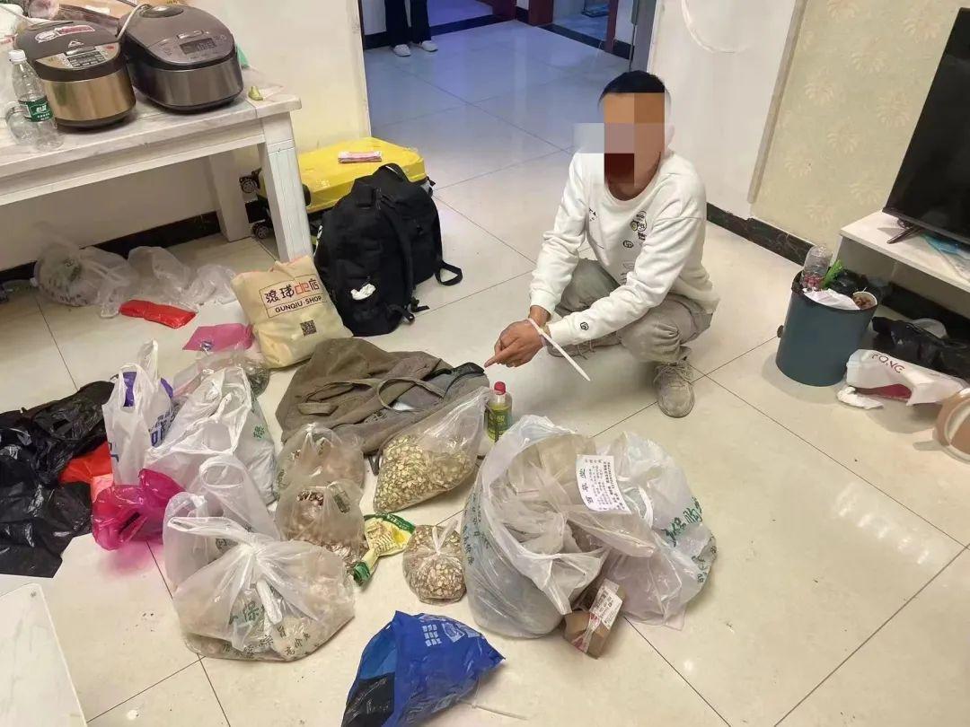 麻将开挂怎么买（麻将怎么开挂,先试用在付款）