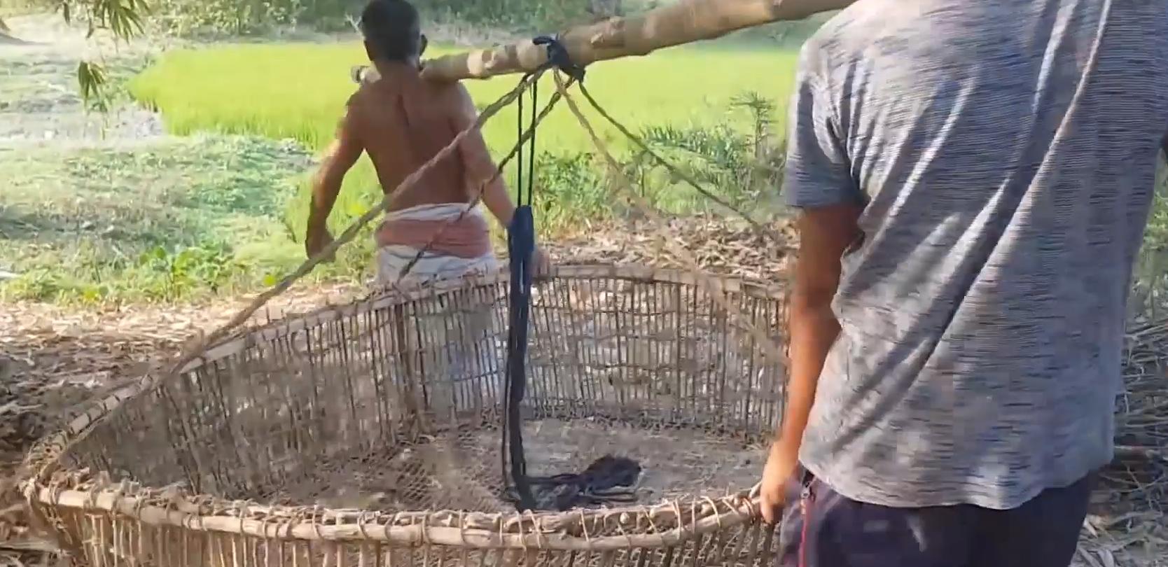 捕鱼游戏怎么开挂教程下载（捕鱼软件怎么开挂）