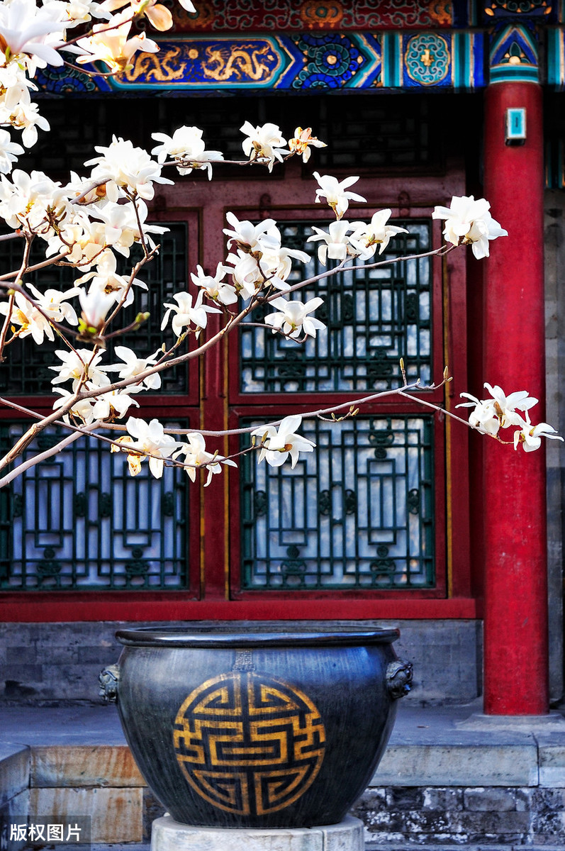 茶馆过年挂饰（茶馆挂什么画）