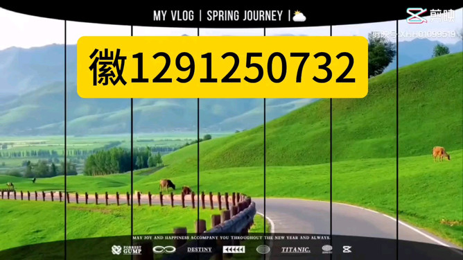 长牌透视挂（翻牌透视挂）