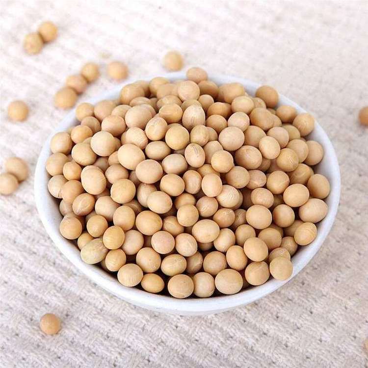 3分钟教你科普“豆豆大厅拼十开挂—真实可以装挂