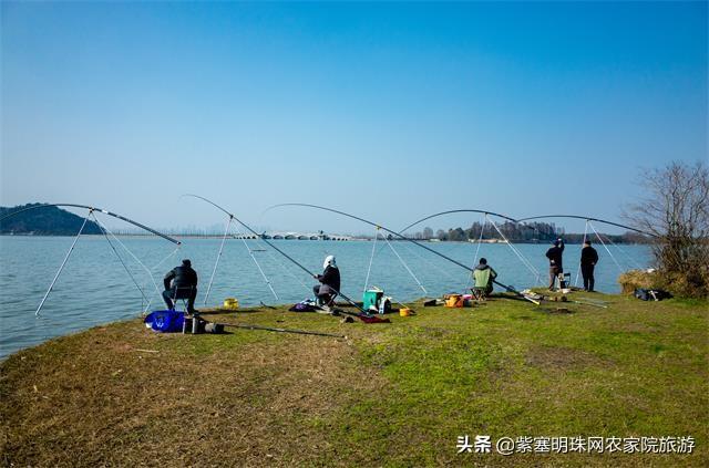 梦幻麻将有没有挂的啊（梦幻麻将有没有挂的啊怎么看）