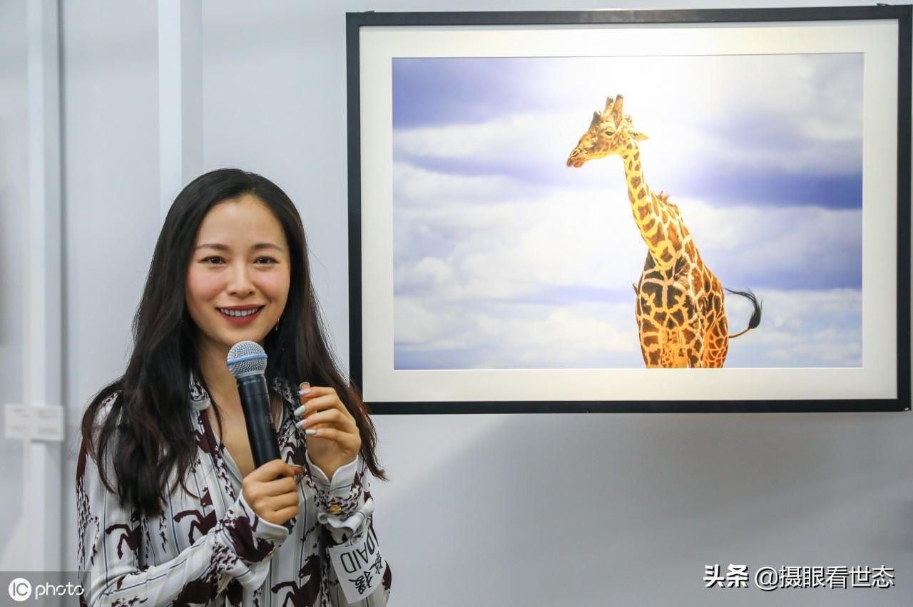 影视娱乐标签怎么挂（影视标签有哪些）