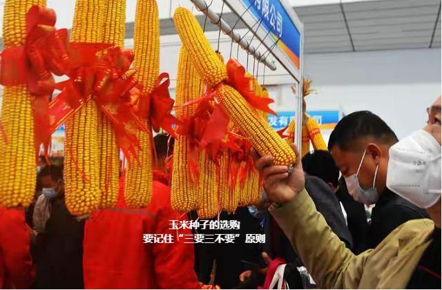 5分钟教会你“玉米猜1234怎么能赢“推荐1个购买渠道