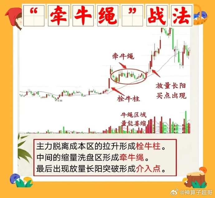 详细说明“名师传授牛牛坐庄简单赢钱方法“推荐6个购买渠道