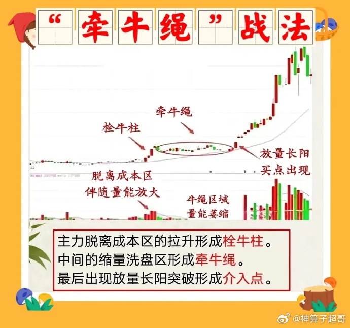 火爆全网!斗牛简单出仪器设备“推荐2个购买渠道