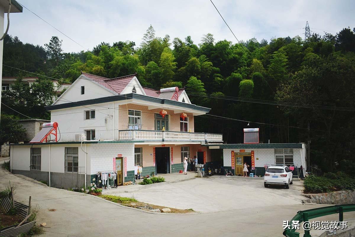 卧室可以挂摇钱树吗（家里可以放摇钱树摆件吗）