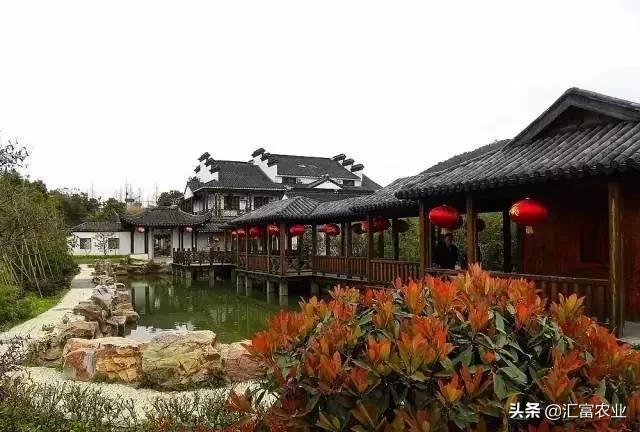 神赚棋牌能开挂吗安卓（神赚棋牌能开挂吗安卓手机）