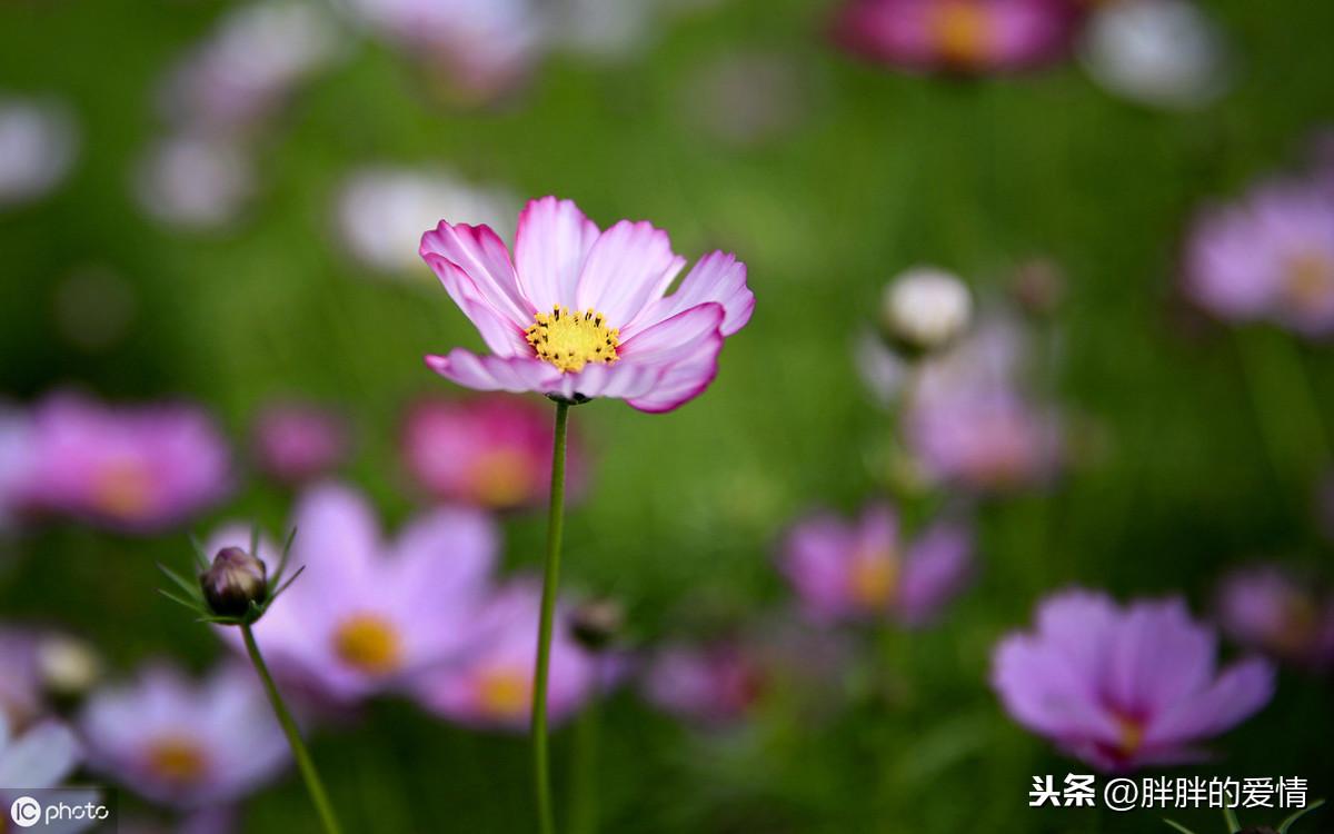 玩家必备教程牵手跑得快能开挂吗!其实确实有挂