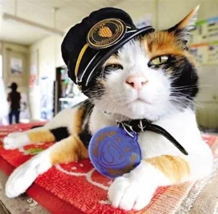 熊猫麻将开挂是真的吗还是假的（熊猫麻将开挂神器下载软件）