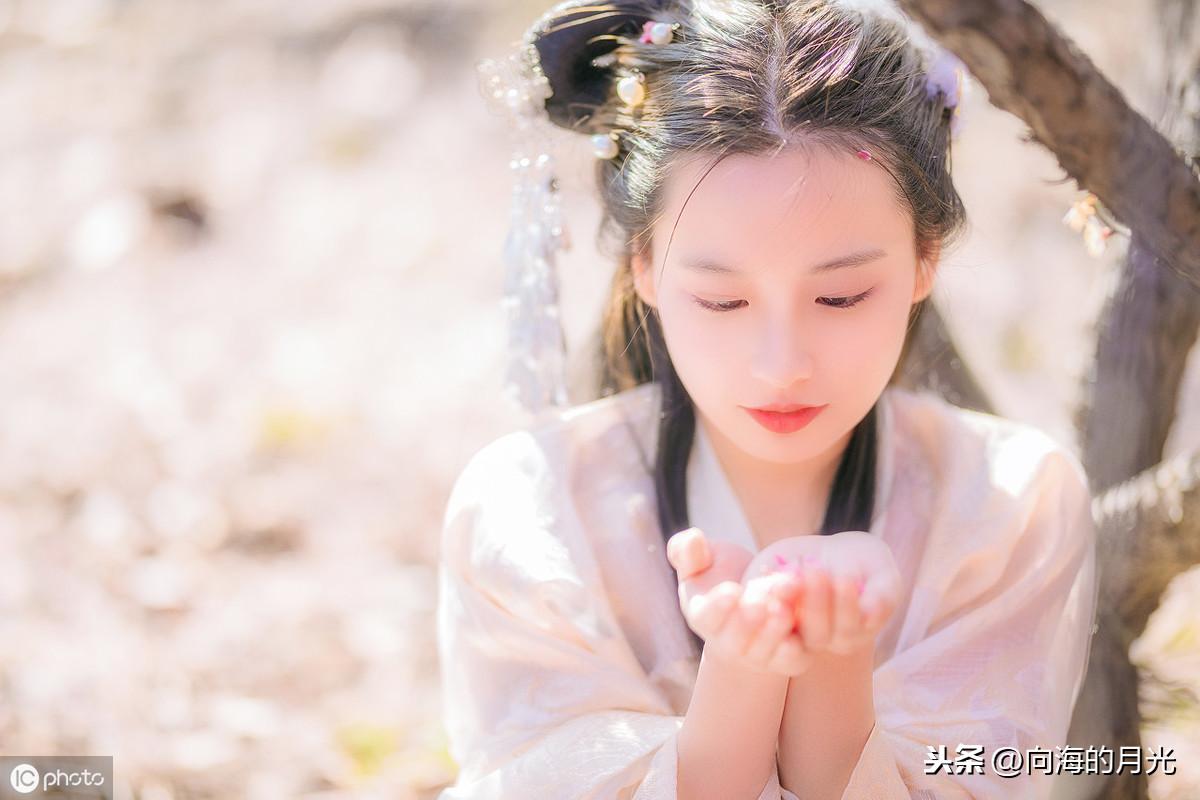 实测分享“有什么设备可以看透普通铁碗“推荐4个购买渠道
